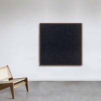 Infinity Nets (SENN)