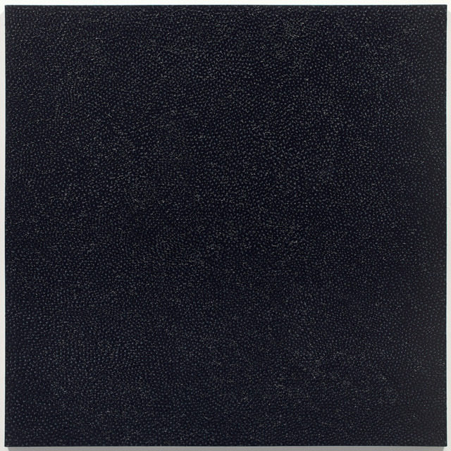 Infinity Nets (SENN)