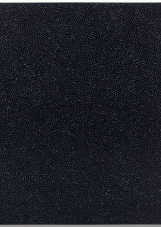 Infinity Nets (SENN)