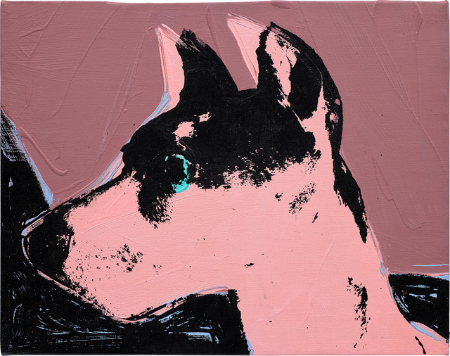Cats and Dogs (Cecil)