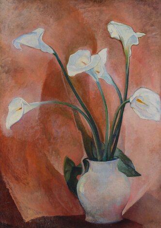 Calla-Lilien